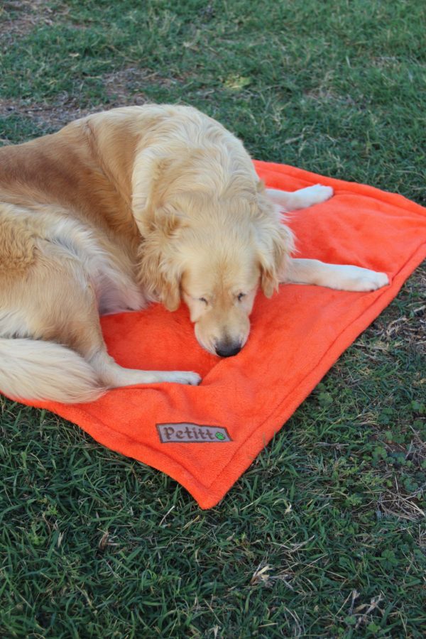 Petitto Handmade Dog Blanket - Orange - Image 2