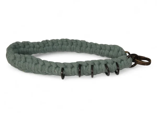 Green leash on dog