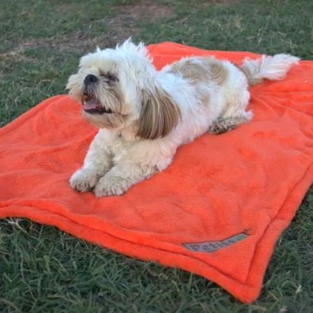 Petitto soft blanket for pets