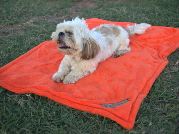 Petitto soft blanket for pets