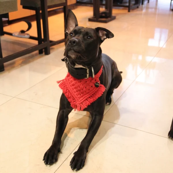 Red handmade soft bandana
