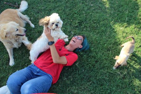 About Petitto handmade pet accessorie {{brizy_dc_image_alt imageSrc=