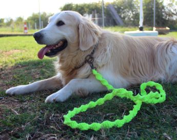 {{brizy_dc_image_alt entityId=