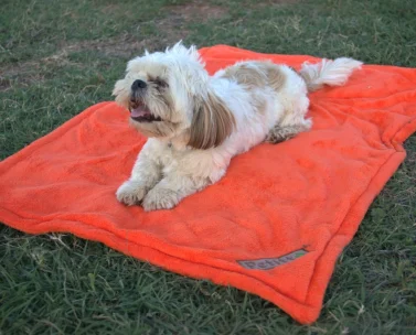 Petitto soft blanket for pets