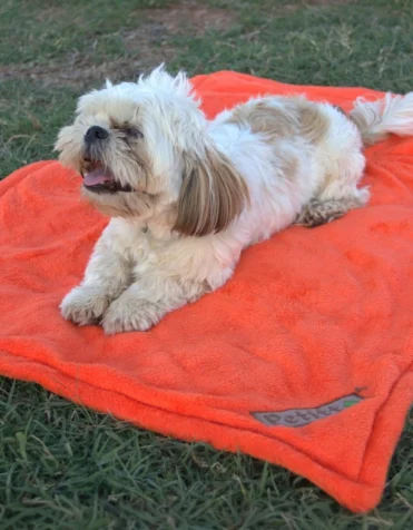 Petitto soft blanket for pets